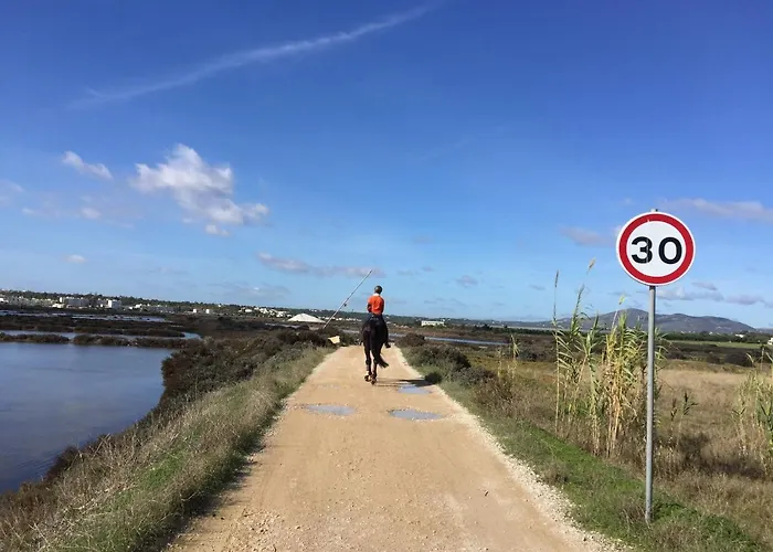 Vista Mar E Piscina ヴィラ *