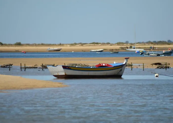 Vista Mar E Piscina ヴィラ
