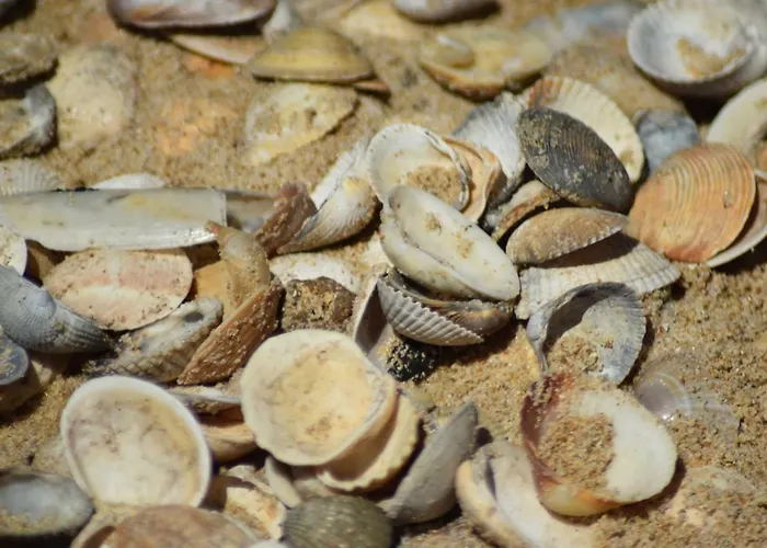 Vista Mar E Piscina *