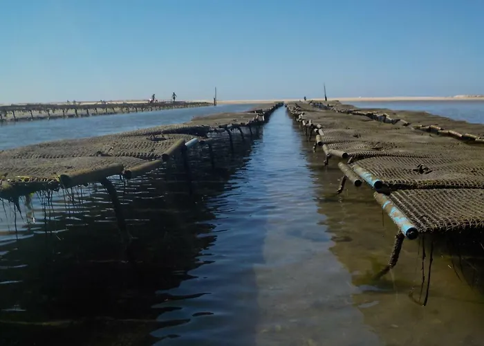 Vista Mar E Piscina ヴィラ フゼタ