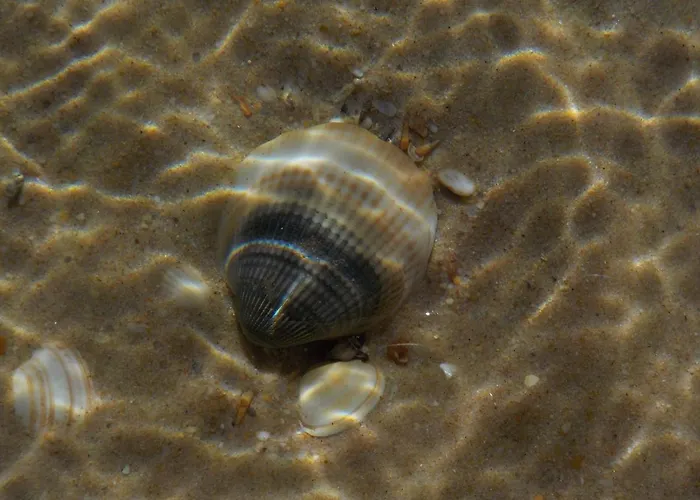 ヴィラ Vista Mar E Piscina フゼタ