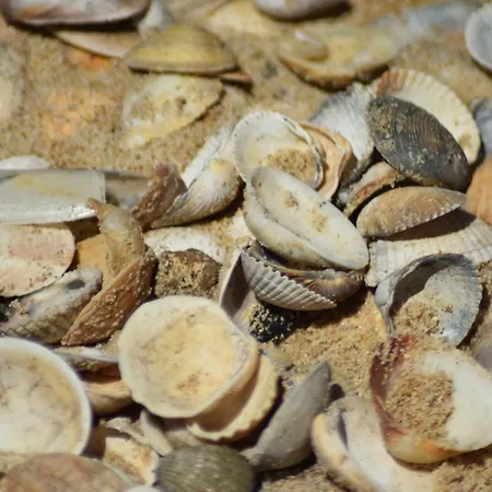 Vista Mar E Piscina *