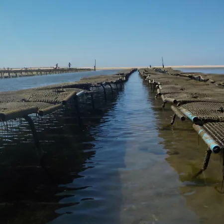 Vista Mar E Piscina Villa Fuseta