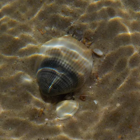 Villa Vista Mar E Piscina Fuseta